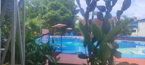 Bazén v ubytování Hotel Maguey nebo v jeho okolí