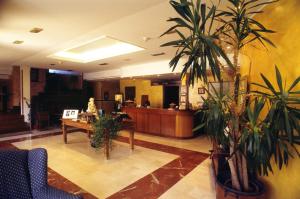 Vstupní hala nebo recepce v ubytování Hotel Villa De Nava