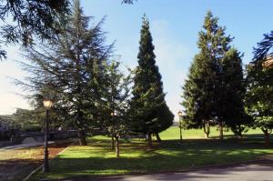 Zahrada ubytování Hotel Villa De Nava