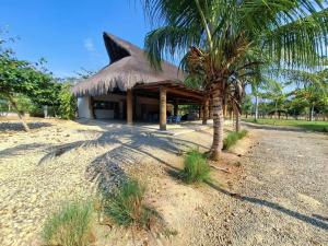 Zahrada ubytování Exclusive Loft in Barú, access by sea and land