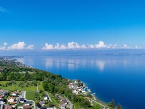 una vista aérea de un gran cuerpo de agua en Villa avec terrasse, jardin, proche Evian et pistes, Wifi, parking - FR-1-498-19, en Lugrin