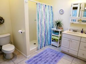 a bathroom with a shower and a toilet and a sink at Sand Dollar Beach Side Villa in Holmes Beach +6 photos