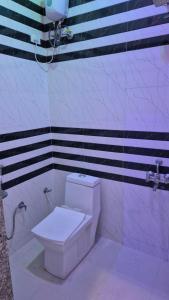 a bathroom with a white toilet and a sink at Baba Shyam hotel in Rīngas