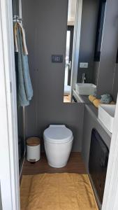 多尔梅莱托HouseBoat - Lago Maggiore con Jacuzzi的配有马桶、水槽和镜子的浴室