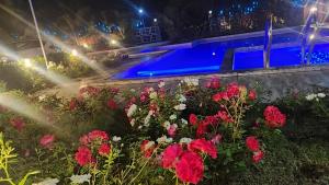 Gallery image of Mango Leaf Resort in Dāvāle