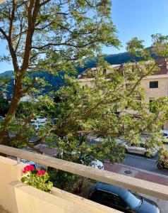 vistas a un aparcamiento con un árbol y coches en Apartman Pablo, en Kotor 29 fotos más