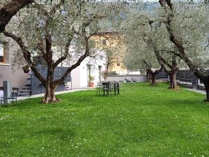 a park with tables and trees in the grass at Olive Tree House in Riva del Garda