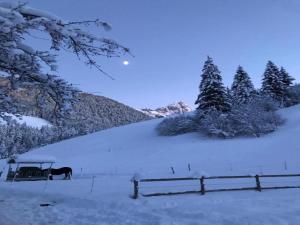 格施塔德Duplex in Gstaad near Ski Lifts & Jacuzzi的相册照片