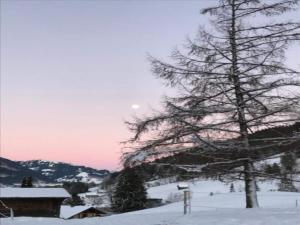 格施塔德Duplex in Gstaad near Ski Lifts & Jacuzzi的相册照片