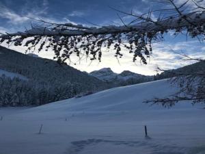 格施塔德Duplex in Gstaad near Ski Lifts & Jacuzzi的相册照片