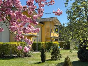 une maison avec des fleurs roses devant elle dans l'établissement Ferienwohnung Melosine, à Ostseebad Koserow