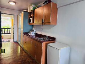 Dapur atau dapur kecil di Alta Vista De Boracay F205
