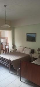a bedroom with a large bed in a room at Windy Place in Fourfourás