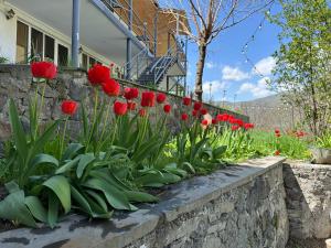 Giardino di Hotel-GVALA