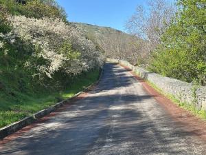 Paesaggio naturale nelle vicinanze dell'affittacamere