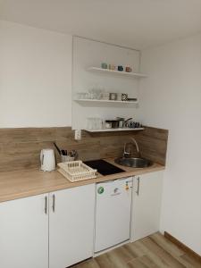 eine Küche mit weißen Schränken und einer Spüle in der Unterkunft Apartman Dušan Trebinje in Trebinje