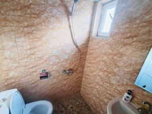 a bathroom with a shower with a toilet and a sink at Guest House pesvebi in Mestia +106 photos