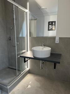 a bathroom with a sink and a shower at Stellas Monteurwohnungen in Crimmitschau