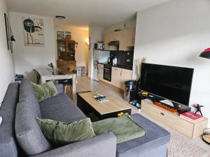 Et tv og/eller underholdning på Hautacam Condor - Balcon vue montagne