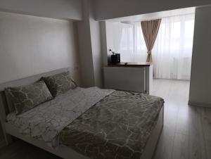 a bedroom with a large bed and a window at Central I in Târgu Jiu