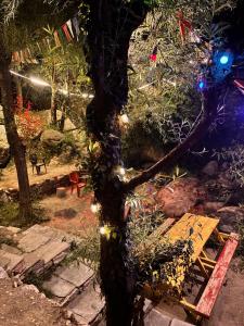 Fotografie z fotogalerie ubytování The Cozy Cabin, Jibhi v destinaci Banjār