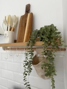 a shelf with a potted plant on it at Vv Estudio88 in Valverde