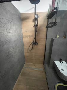a bathroom with a sink and a shower at Apartman Bajt in Ravna Gora +11 photos