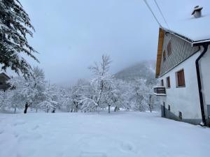 a snow covered yard next to a house and trees at Apartman Bajt in Ravna Gora