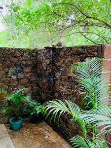 Giardino di Nature World Jungle Paradise