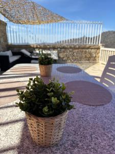 two potted plants sitting on a table on a patio at Casa do Beija in Outeiro +56 photos