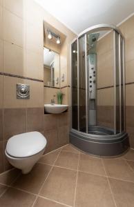 a bathroom with a toilet and a shower and a sink at Apartment on Maidan, Khreschatyk 4 street in Kyiv