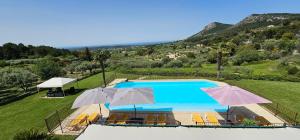 ein Pool mit zwei Sonnenschirmen auf einem Feld in der Unterkunft Gîte Palma, vue exceptionnelle vallée Provençale in Le Barroux