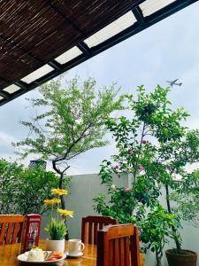 Zahrada ubytování The Seaside Residences