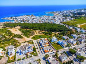 an aerial view of a city and the ocean at Dimora Cavallo a 150m da spiaggia sabbiosa in Torre Santa Sabina