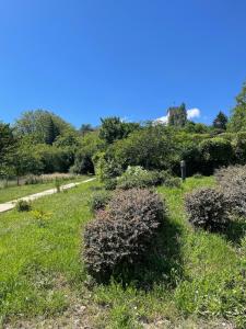 a field with bushes and a castle in the background at Cœur du vieux Lyon et zone de loisir in Lyon