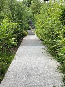 a path through a garden with bushes and trees at Cœur du vieux Lyon et zone de loisir in Lyon