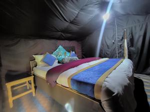 Tyakshi Summer Camp客房内的一张或多张床位