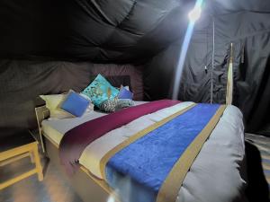 Tyakshi Summer Camp客房内的一张或多张床位