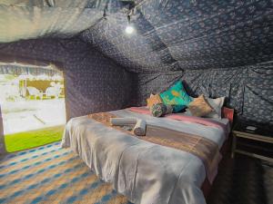 TurtokTyakshi Summer Camp的一间带一张床铺的卧室,位于带天花板的房间内
