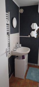 a bathroom with a white sink and a mirror at Petite maison ploufragan in Ploufragan