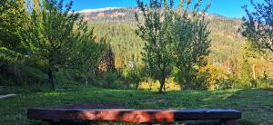 eine Holzbank auf einem Feld mit Bäumen in der Unterkunft MJ cafe and homestay in Jāmb