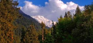 einen schneebedeckten Berg inmitten eines Waldes in der Unterkunft MJ cafe and homestay in Jāmb