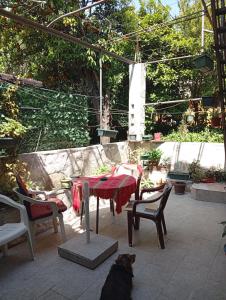 a dog sitting on a patio with a table and chairs at Apartment Radovic in Kotor +4 photos