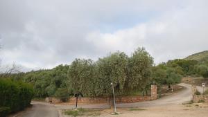 Príroda v okolí of the country house