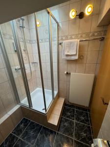 a bathroom with a shower with a glass door at Ferienwohnungen Steinbacher in Vogtareuth