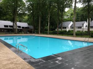 a large blue swimming pool with trees in the background at Bos-Chalet bij Wijers Wandelroutes, Rust & Gezinsplezier Fijnspar 108 Hengelhoef in Houthalen-Helchteren