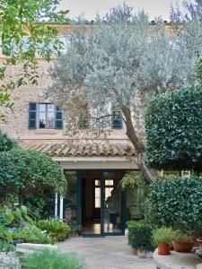 a building with a tree in front of it at Son Sant Jordi in Pollença