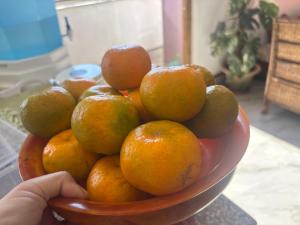 Mynd úr myndasafni af Denkhang bnb Geyzing west sikkim í Pemayangtse