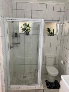 a bathroom with a shower with a toilet and plants at Cottage by Design, Somerset West in Somerset West +9 photos