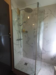 a shower with a glass door in a bathroom at Stade de France - Magnifique terrasse arborée in Saint-Denis +22 photos